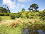 P Hobbiton 005